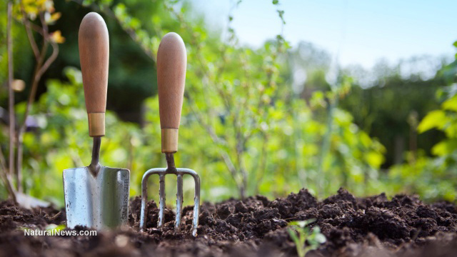Gardening-Tools