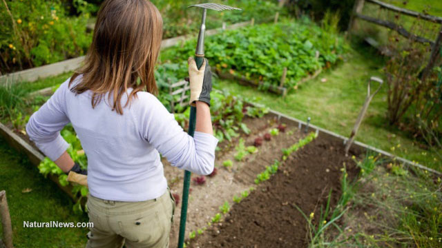 Woman-Proud-Home-Garden-Vegetables-Soil