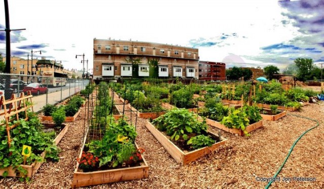 community-garden-food-e1460393570153