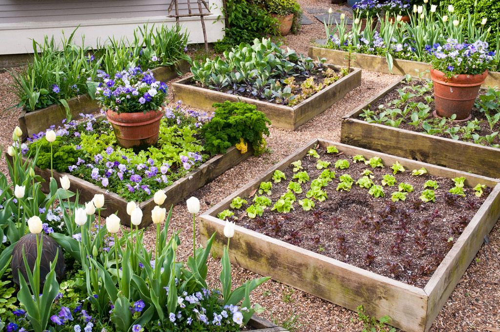 raised-garden-bed