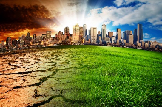 City-Drought-Green-Grass-Dried-Soil